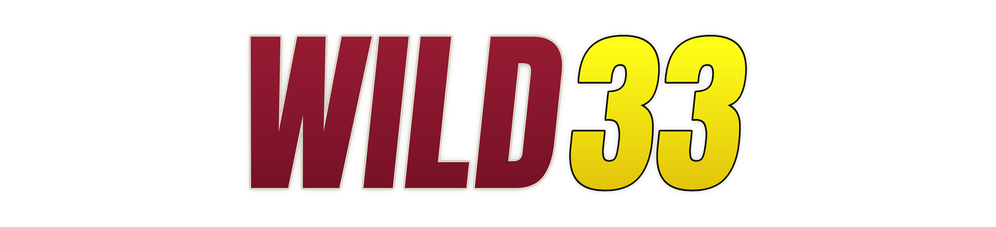 wild33 logo